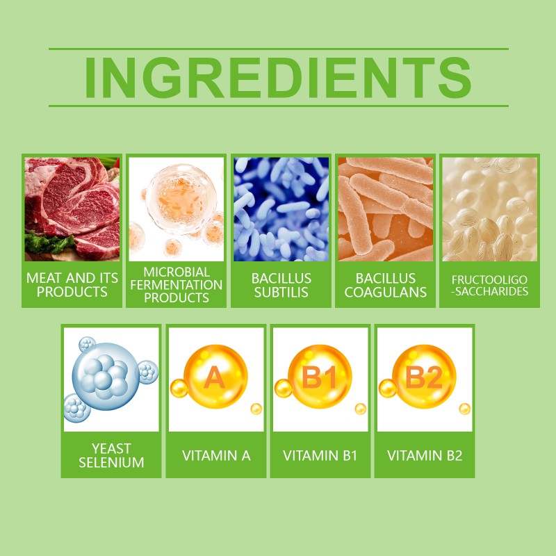 Pet Probiotics Manufacturer - Vitamins Nutrient Absorption