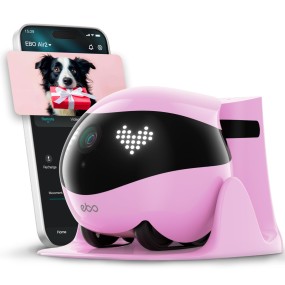 Smart Pet Robot Factory - Hot Selling Auto Recharge