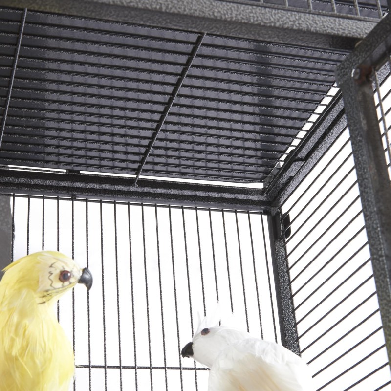 Bird Cage Manufacturer - Wholesale Rooftop Playground Wheels