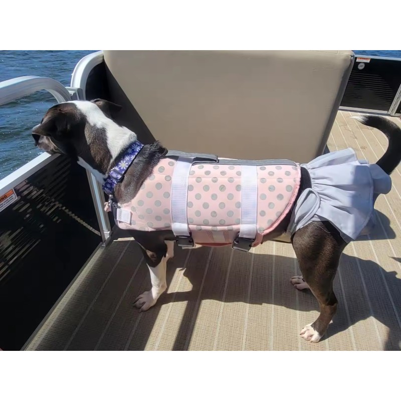 Dog Diapers Supplier - Washable Leakproof Adjustable