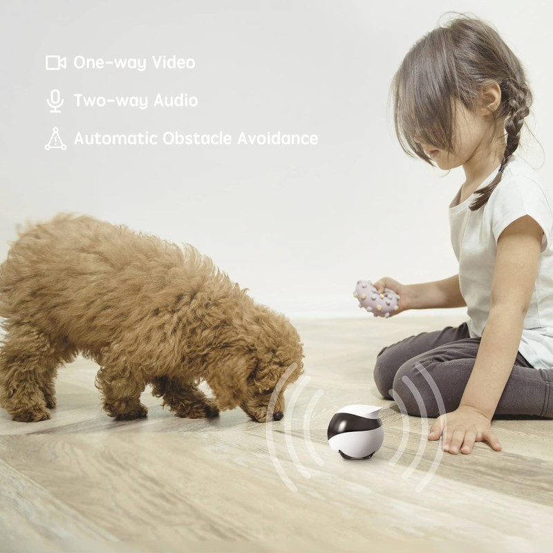 Pet Robot Manufacturer - Wholesale Smart Home Camera