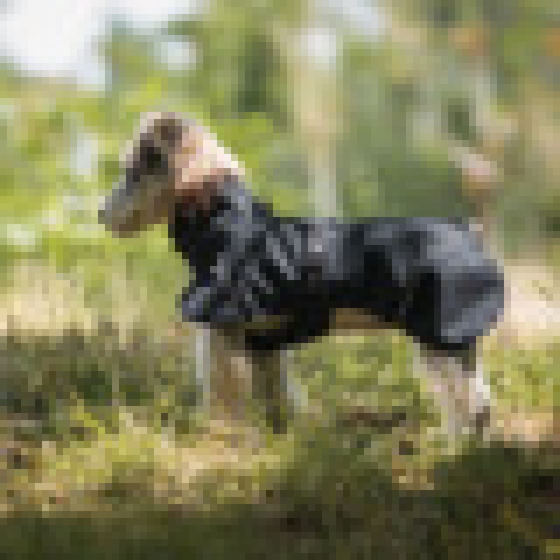 Dog Rain Coat Supplier - Biker Waterproof Universal