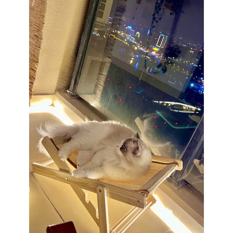 Wooden Cat Hammock Manufacturer - Foldable Sisal Seat