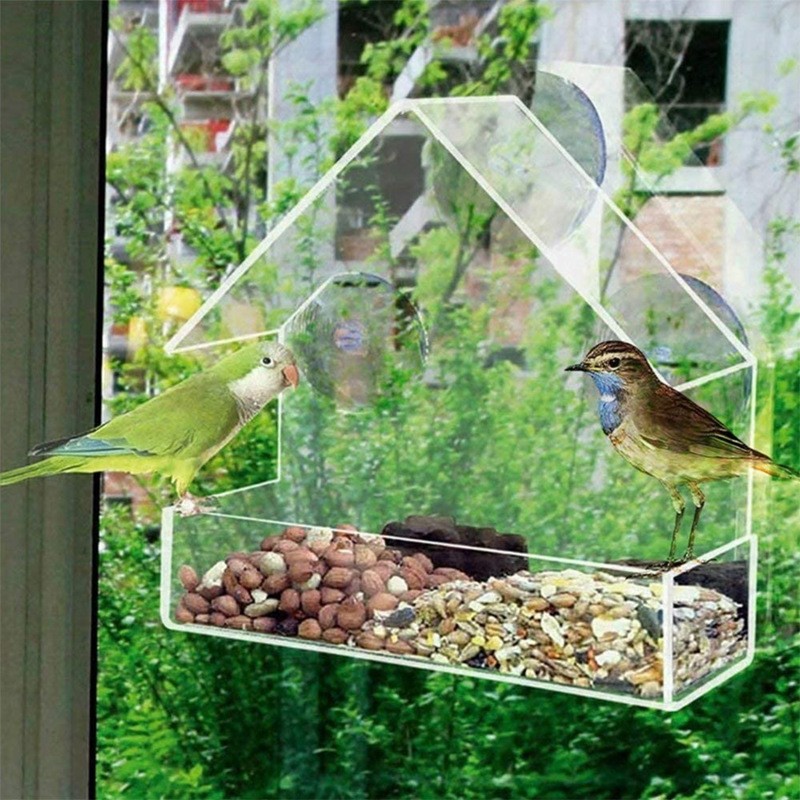 Bird Feeder Supplier - Eco Friendly Window Mount