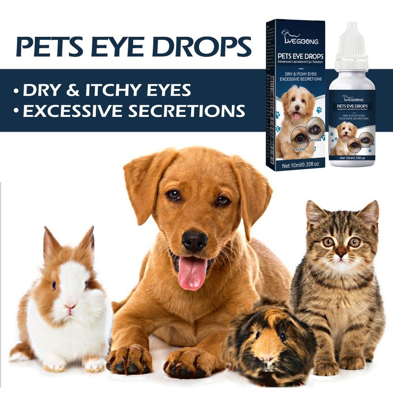 Pet Eye Drops Factory - Gentle Antibacterial Tear Stain