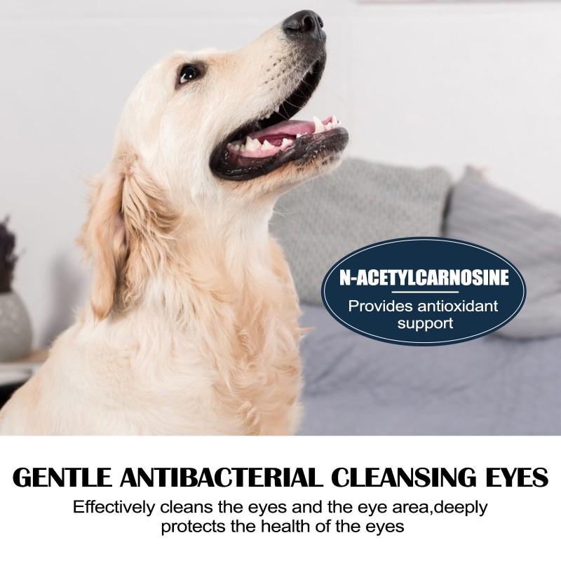 Pet Eye Drops Factory - Gentle Antibacterial Tear Stain
