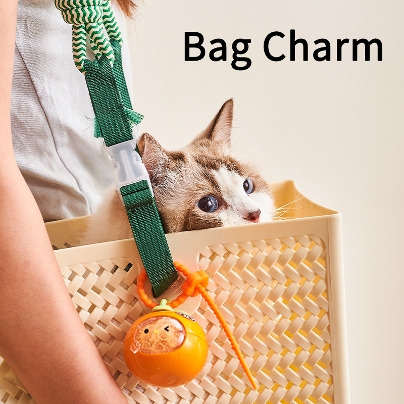 Pet Hair Charm Supplier - Cute Fruit Shaped Silicone