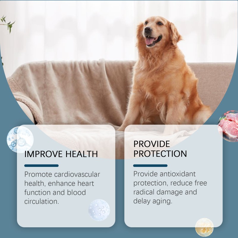 Dog Mineral Supplements Manufacturer - Wholesale Trace Elements