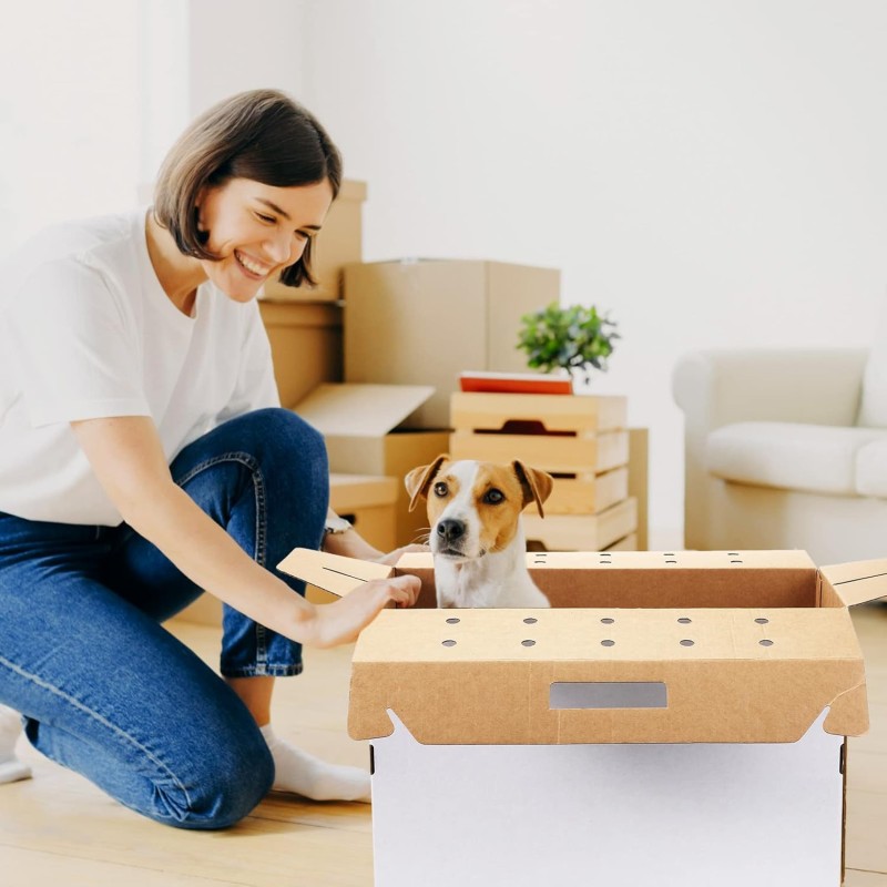 Pet Transport Boxes Supplier - Wholesale Heavy Duty Cardboard