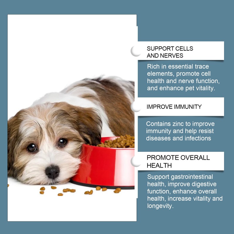 Dog Mineral Supplements Manufacturer - Wholesale Trace Elements