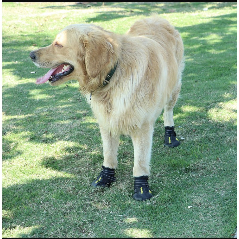 Dog Boots Manufacturer - Best Selling Waterproof Breathable