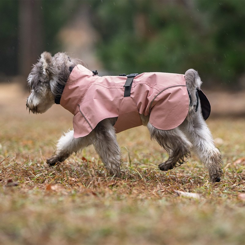 Dog Raincoat Supplier - Wholesale Waterproof Reflective