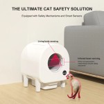 Cat Toilet and accessories