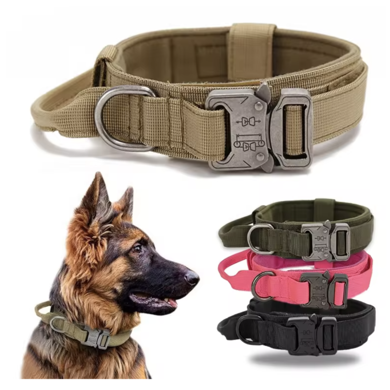 Tactical Dog Collar Supplier - Durable Heavy Duty Outdoor