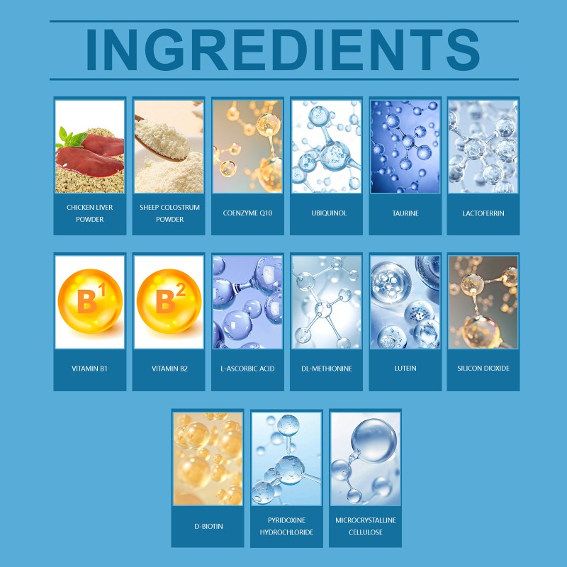 Feline Coenzyme Q10 Factory - Premium Heart Metabolism