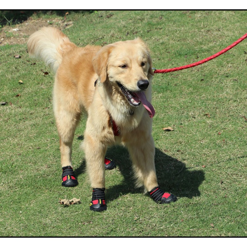 Dog Boots Manufacturer - Best Selling Waterproof Breathable