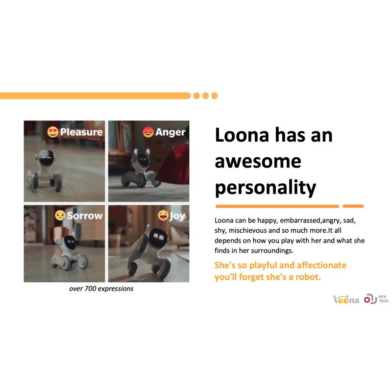 AI Pet Robot Manufacturer - Loona Remote Control ChatGPT
