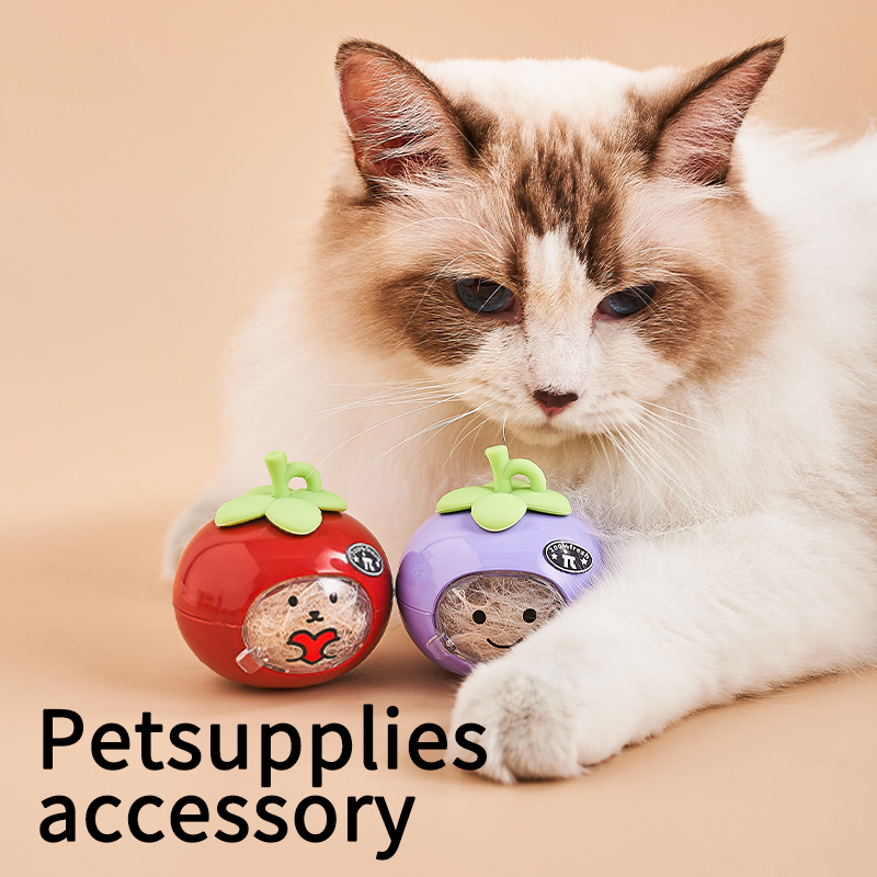 Pet Hair Charm Supplier - Cute Fruit Shaped Silicone