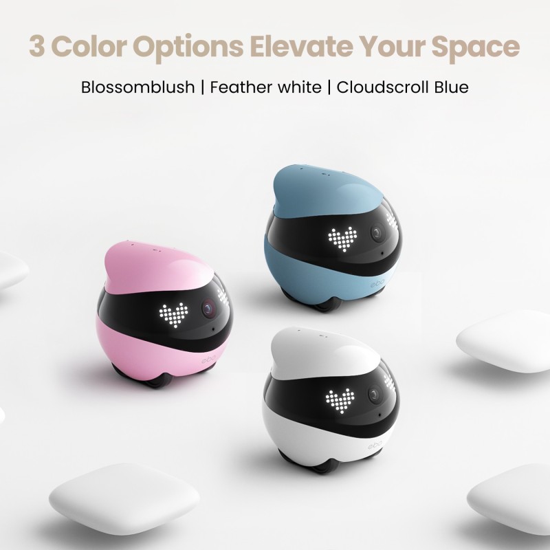 Smart Pet Robot Supplier - EBO Air 2 Auto Patrol