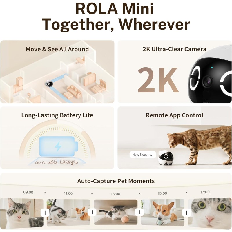 Mini Smart Pet Companion Manufacturer - HD Surveillance Low Noise