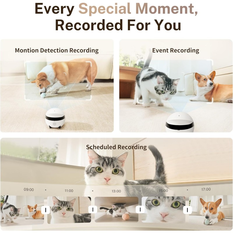 Mini Smart Pet Companion Manufacturer - HD Surveillance Low Noise