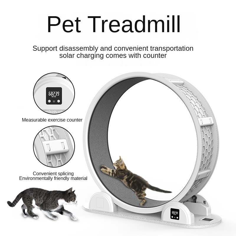 Pet Fitness Treadmill Manufacturer - Solar Powered Digital