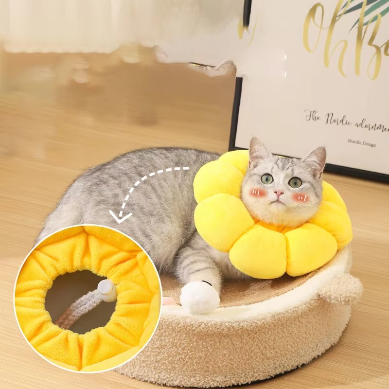 Pet Recovery Collar Supplier - Soft Flower Donut Cone