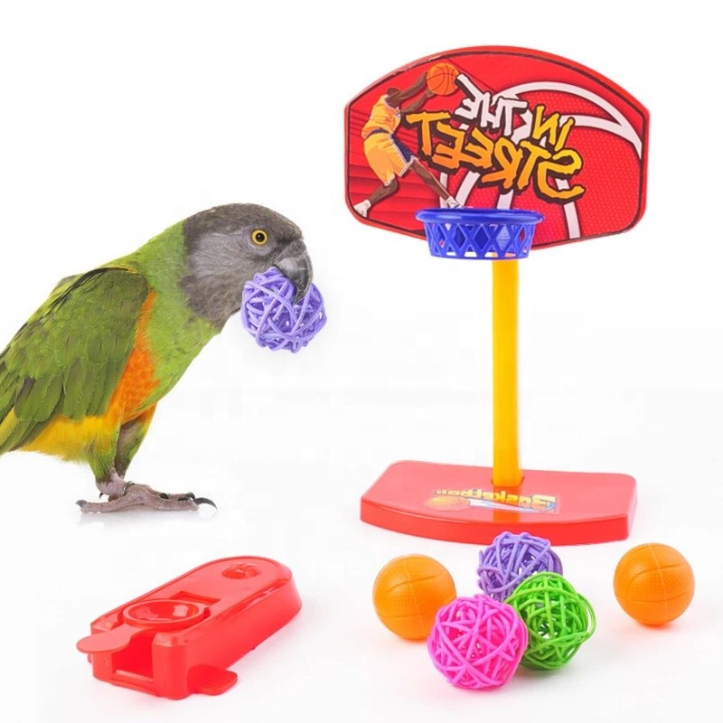 Parrot Chew Toy Supplier - Bell Balls Basketball Hoop