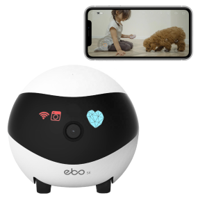 Pet Companion Robot Manufacturer - Smart App Control Interactive