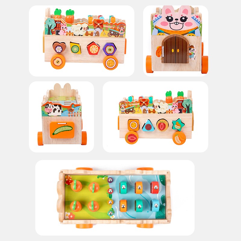 Farm Toy Manufacturer - Animal Car Shape Matching Fishing Game