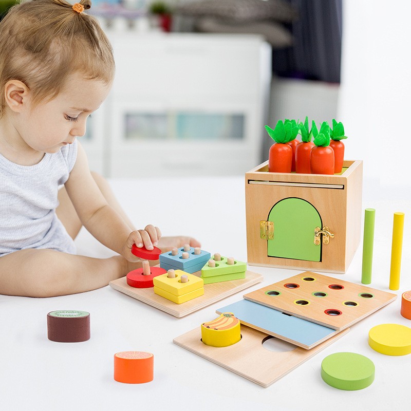 Intelligence Box Supplier - 6-in-1 Montessori Lock Pulling Carrot