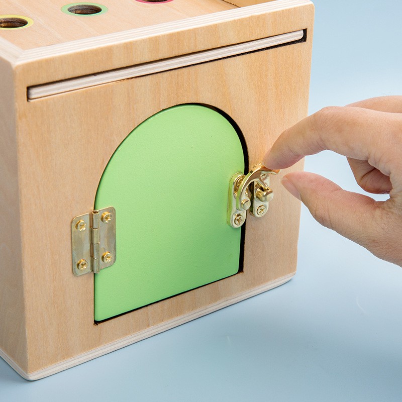 Intelligence Box Supplier - 6-in-1 Montessori Lock Pulling Carrot