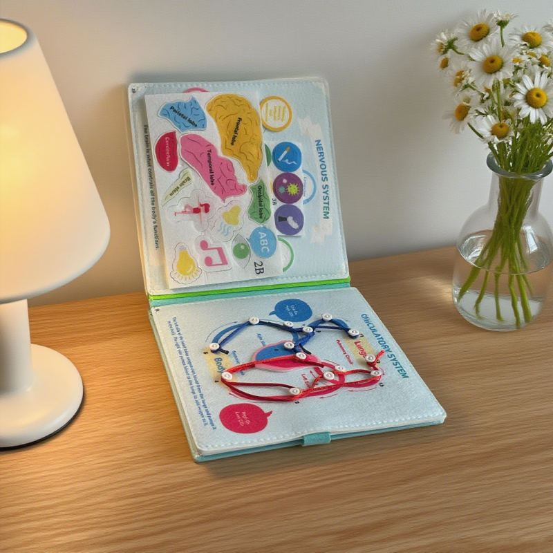 Educational Storybook Factory - Non-Woven Rainbow Felt Busy Board