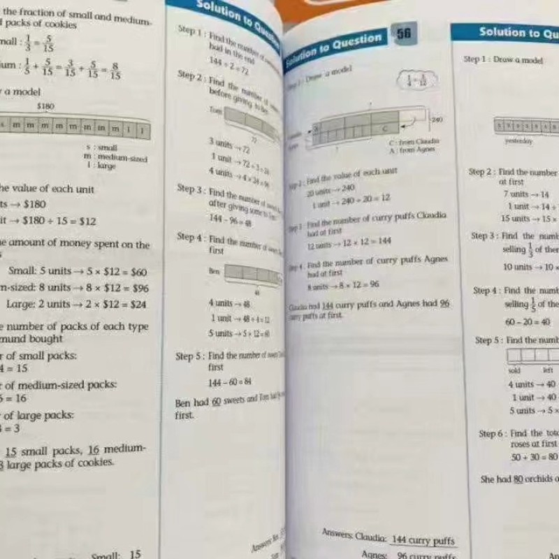 Mathematics Book Manufacturer - Singapore Math Grade 1-6 Challenging Problems