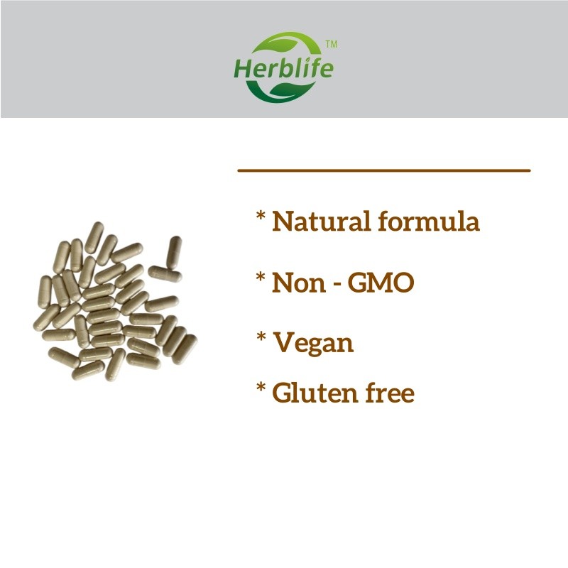 Persimmon Leaf Capsules Manufacturer - Now Supplements Food Grade Liver Health