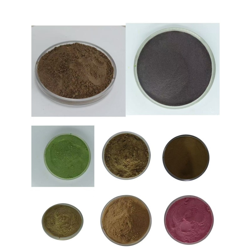 Miracle Berry Powder Factory - OEM/ODM Wholesale Freeze-dried High Quality Extract