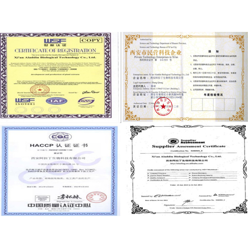 Sacred Mushroom Powder Factory - Organic 7 Blend Lion Mane Cordyceps Chaga Reishi