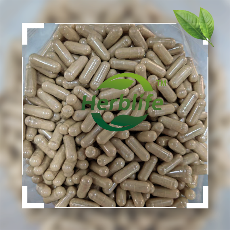 Yucca Root Capsules Manufacturer - Herbal Supplement 1000mg Pure Extract Gluten Free