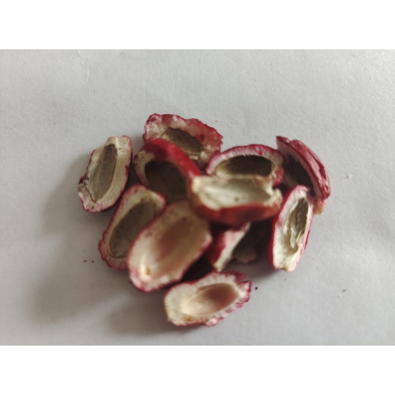 Miracle Fruit Supplier - 100% Natural Freeze-dried Wholesale Supplements