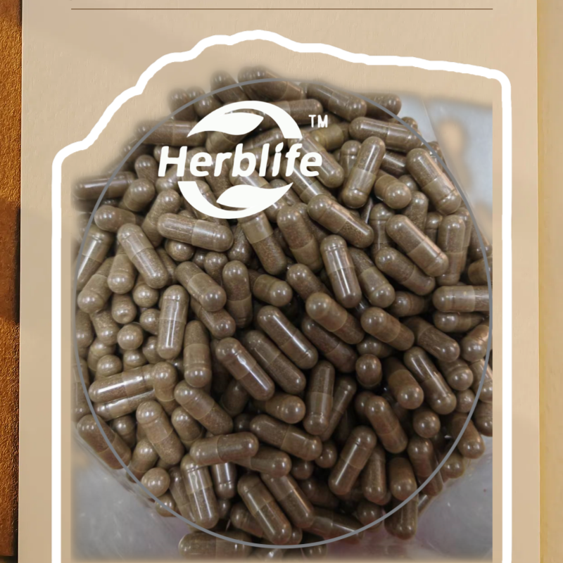 Cordyceps Capsules Manufacturer - Natural Pure for Energy Immune Support