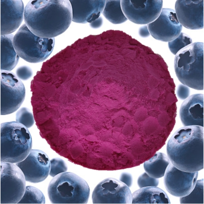 Blueberry Leaf Extract Supplier - High Quality Freeze-Dried Wild Herbal Extract