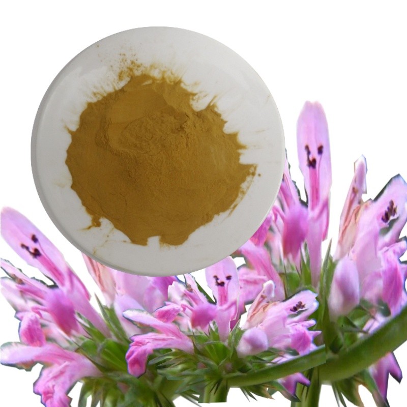 Motherwort Powder Supplier - Wholesale Natural Herbal Extract Yi Mu Cao Powder