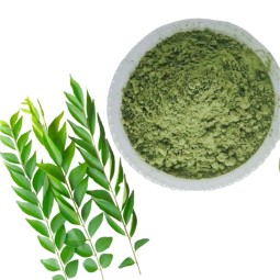 Curry Leaf Powder Supplier - Natural Organic Herbal Extract Cooking Ingredients