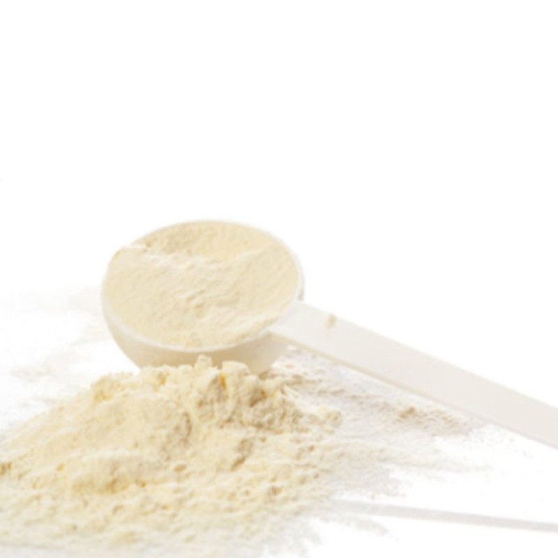 Whey Protein Powder Supplier - Adult Healthcare Supplement Not for Pregnant Women