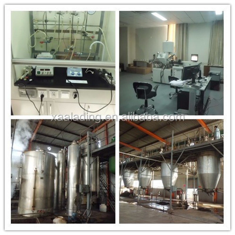 Sacred Mushroom Powder Factory - Organic 7 Blend Lion Mane Cordyceps Chaga Reishi