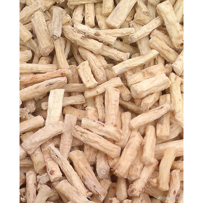 Codonopsis Capsules Factory - ODM OEM Natural Herbal Organic for Immune Support