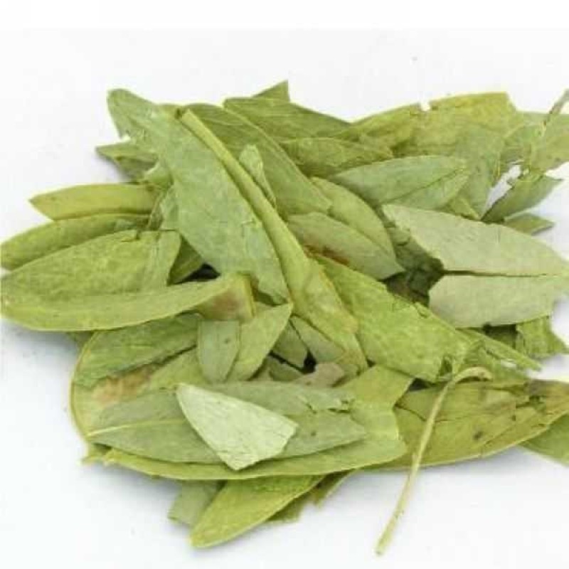 Senna Capsules Factory - Herbal Natural Organic for Digestive Health Support