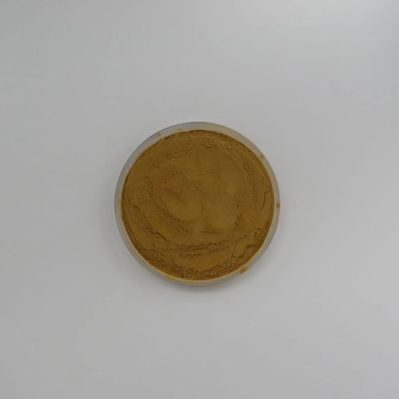 Shatavari Extract Powder Supplier - OEM/ODM Factory Supply Asparagus Racemosus