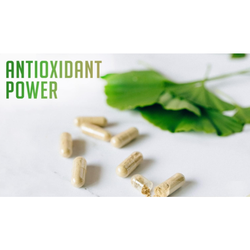 Ginkgo Biloba Powder Manufacturer - Organic Herbal Extract Immunity Cognition Booster