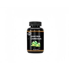 Garcinia Cambogia Capsules Manufacturer - Private Label Body Shape Management Organic